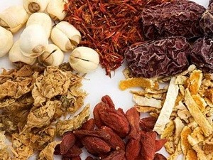 Forum on medicinal herbs from West Pacific - ảnh 1